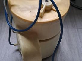 Sulciaspaude