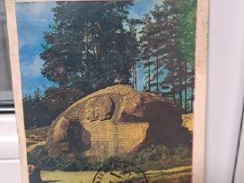 Puntukas atvirukas
