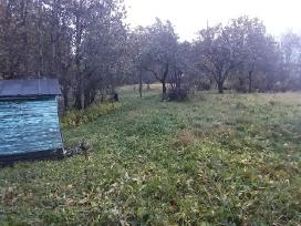 Sodo sklypai (vienas šalia kito)