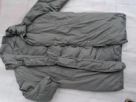 Massimo dutti parka striuke