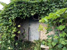 1 ha žemės ir sena sodyba Bebrūnų kaime
