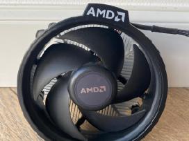 Amd