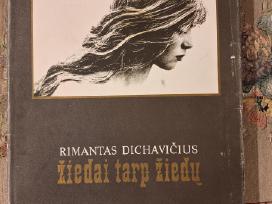 Rimantas Dichavičius Žiedai tarp žiedų