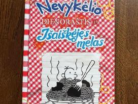 Nevykėlio dienoraštis 19 dalis