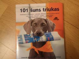 101 šuns triukas