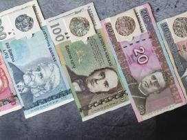 Lietuvos banko sunaikinti litų banknotai