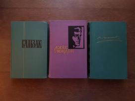 Бальзак Джек Лондон Лермонтов. Užsienio literatura