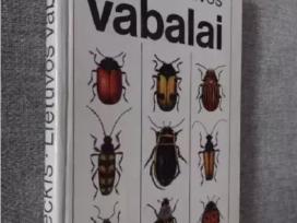 Lietuvos vabalai