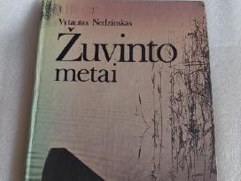 Žuvinto metai