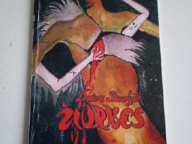 Žiūrkės