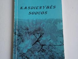 Kasdienybe soduos