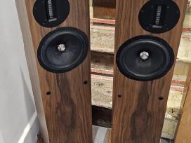 Proac d20r