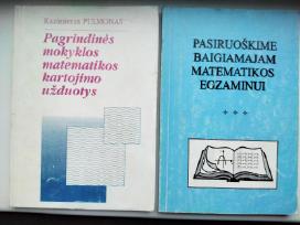 Matematikos kartojimas