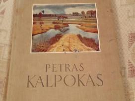 Petras Kalpokas