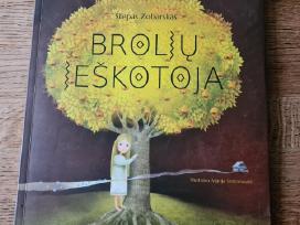 Brolių ieškotoja (Stepas Zobarskas)