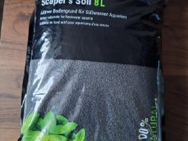 Dennerle soilas