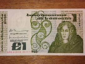 Airijos 1 £ banknotas