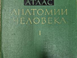Sinelnikovo žmogaus anatomijos atlasas