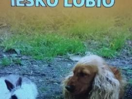 Takis ir Pūkis ieško lobio