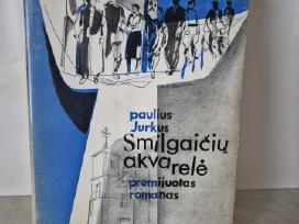 Paulius Jurkus "Smilgaičių akvarelė"