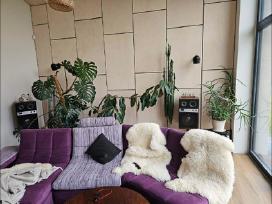 Grafų baldai Relax modulinis kampas