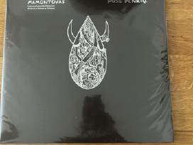 Andrius Mamontovas- Šiaurės naktis, puse penkių lp