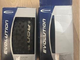 MTB padangos Schwalbe