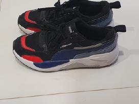 Puma kedus naudoti 42 ismera
