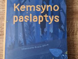 Kemsyno paslaptys (Jurgita Pelėdaitė)