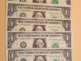 1doleris