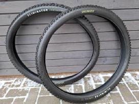 Padangos 29x2.6 MTB Specialized