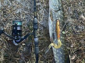 Westin finnese iki 21g ir daiwa rite 3000