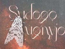 Sudegę ugnyje