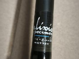 Shimano Alivio CX Specimen 3.66 3lb