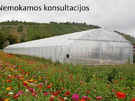 Europrogress – Itališki Pramoniniai Šiltnamiai