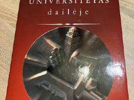 Knyga-albumas Vilniaus universitetas dailėje