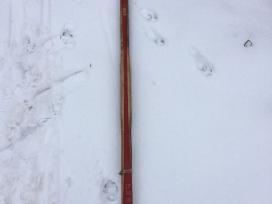 Naujos slidės Parnu 220 cm tik 30 eur