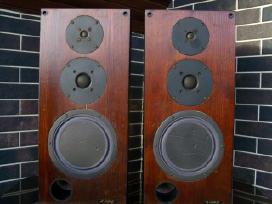Audes. Richard Allan. B&w Dm12, v201. Kef,