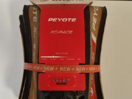 Vittoria Peyote XC-race 29x2.4 padanga