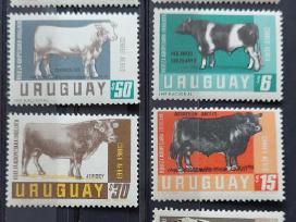 Urugvajus 1966 karves, švarūs, Michel 1036-1042