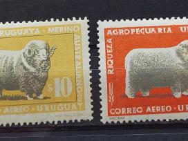 Urugvajus 1967 avis, švarūs, Michel 1070-1073