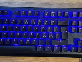 Razer Blackwidow V4 green switches