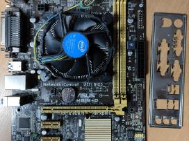 Asus H81m-d (Socket 1150)