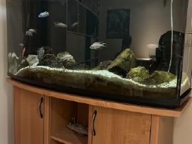 Akvariumas 288l