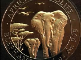 Moneta Somalija 2015m. 100shillings, sidabras(.999