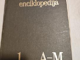Medicinos enciklopedija vintage