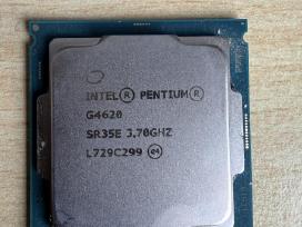 Procesorius Intel Pentium G4620 Sr35e 3.70 GHz