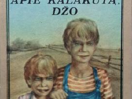 A. Maršalas "Papasakok apie Kalakutą, Džo"