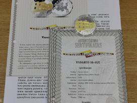 Medalis Vasario 16-oji