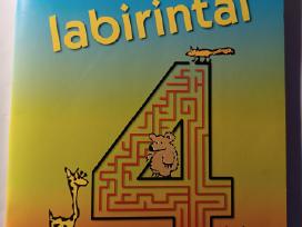 Matematikos labirintai
